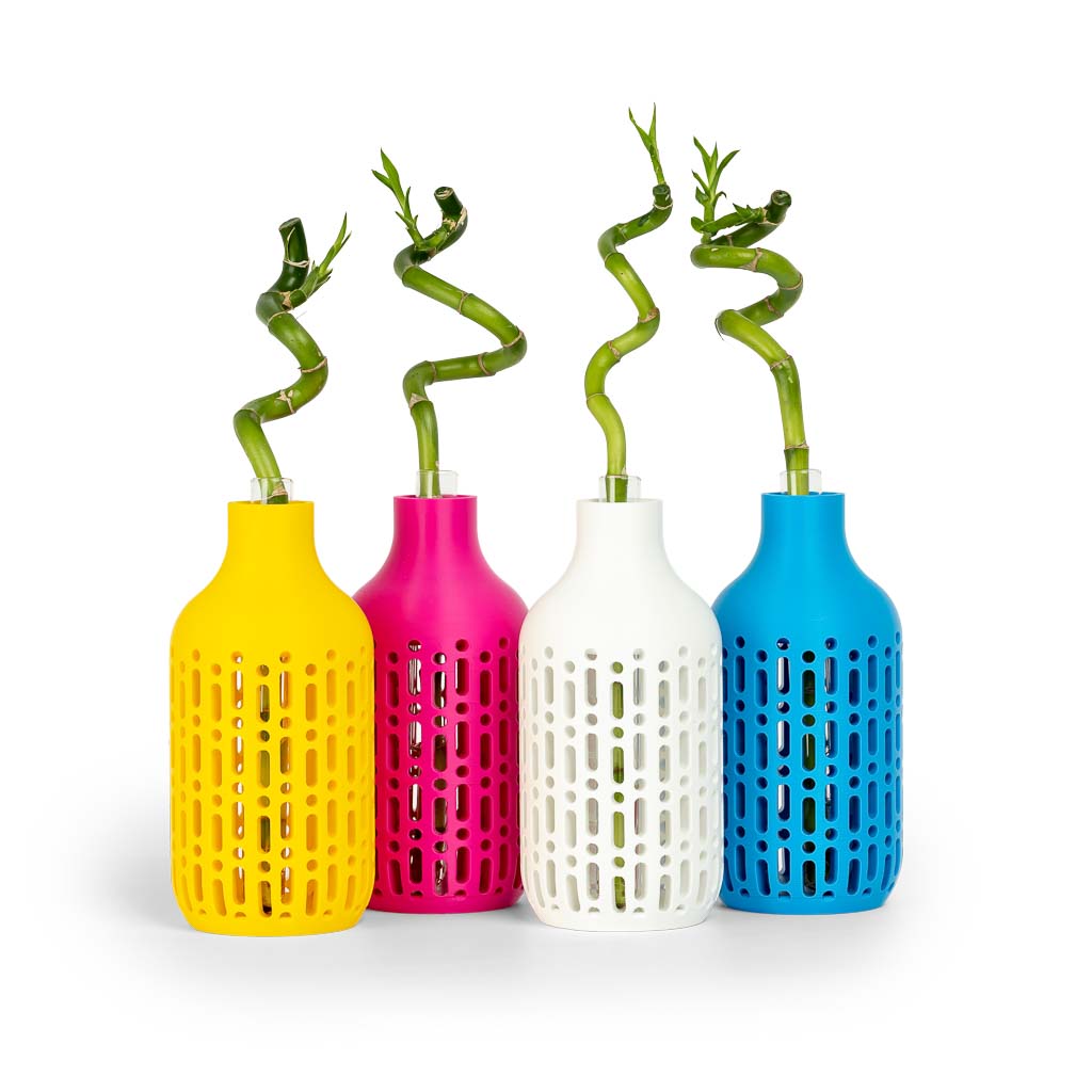 Fiberlogy Easy PLA CMYK 1.75mm. - 4 x 500g